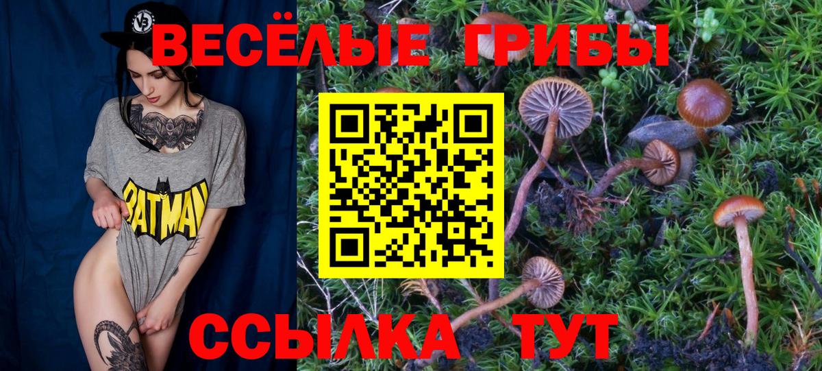 Галлюциногенные грибы мицелий Менделеевск